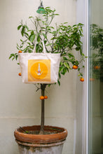 Load image into Gallery viewer, Tote Bag
